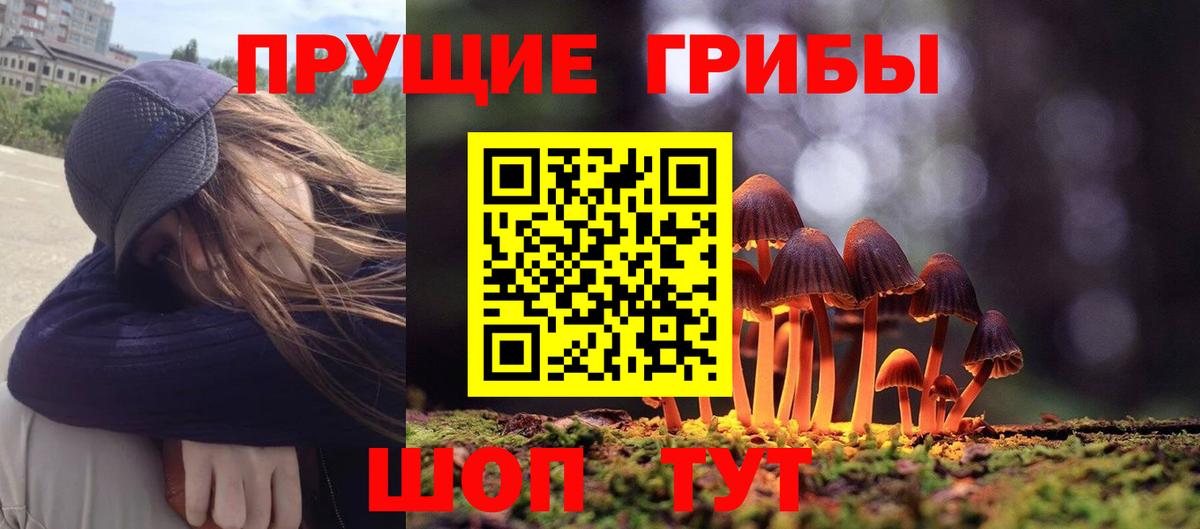 Псилоцибиновые грибы GOLDEN TEACHER  Вход с VPN  Ижевск 